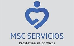 mscservicios.com